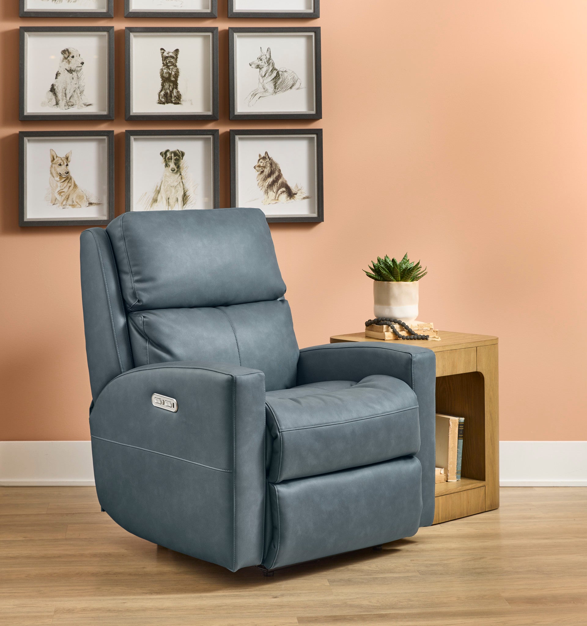 Catalina Leather Power Recliner with Power Headrest