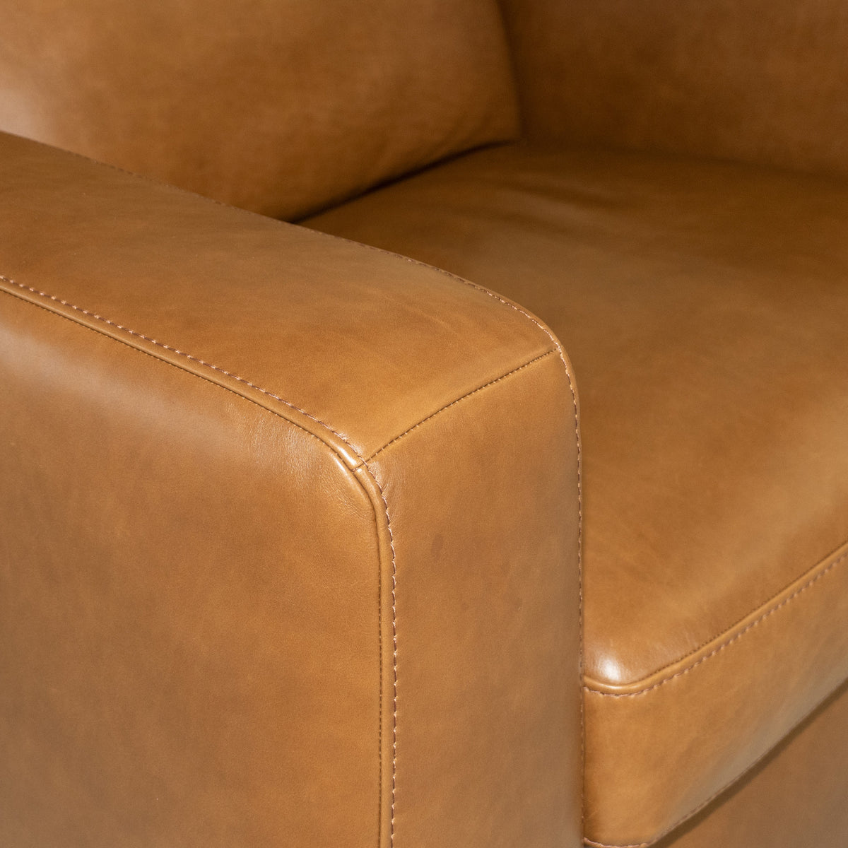 Aria Leather Power Recliner